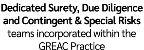 Dedicated Surety, Due Diligence and Contingent & Special Risks teams incorporated within the GREAC Practice