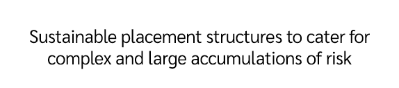 Sustainable placement structures to cater for complex and large accumulations of risk