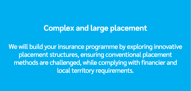 Complex and large placement We will build your insurance programme by exploring innovative placement structures, ensu...